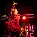 flamenco (81)